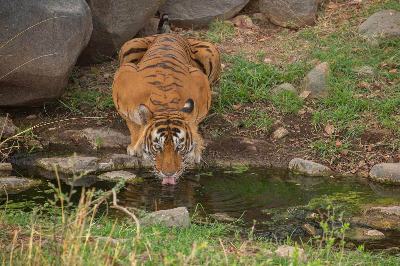 10. Chitwan National Park